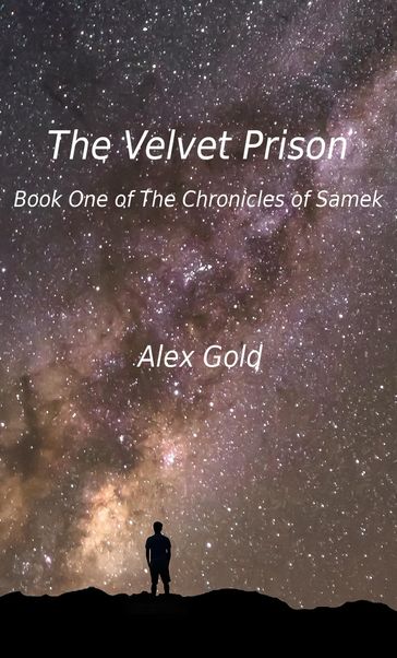 The Velvet Prison - Alex Gold