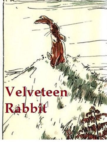 The Velveteen Rabbit or How Toys Become Real, Illustrated - Margery Williams