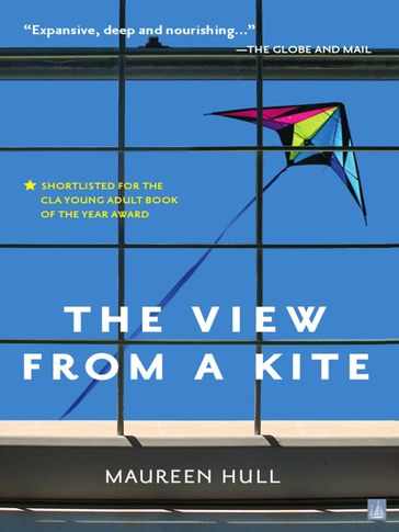 The View From a Kite - Maureen Hull