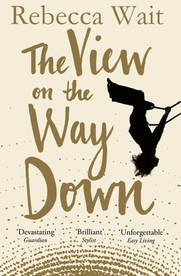 The View on the Way Down - Rebecca Wait