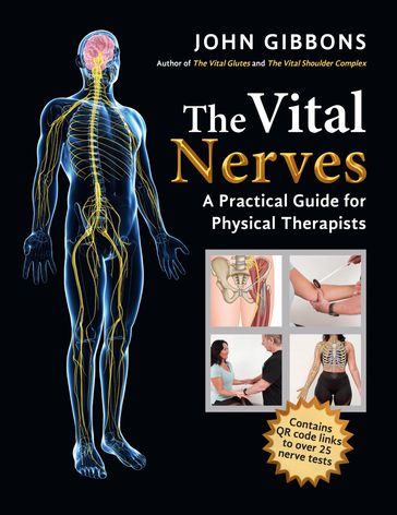 The Vital Nerves - John Gibbons