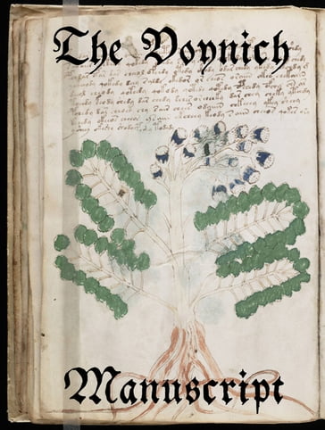 The Voynich Manuscript - Anonyme