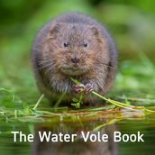 The Water Vole Book