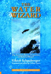 The Water Wizard The Extraordinary Properties of Natural Water