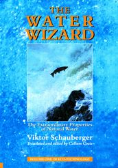 The Water Wizard  The Extraordinary Properties of Natural Water