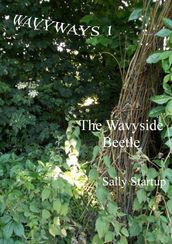 The Wavyside Beetle