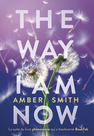 The Way I am now - Amber Smith