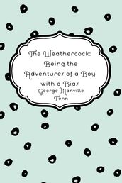 The Weathercock: Being the Adventures of a Boy with a Bias
