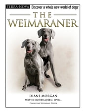 The Weimaraner