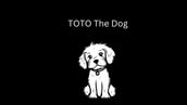 The White Dog Toto