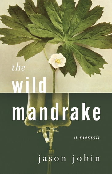The Wild Mandrake - Jason Jobin