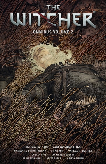 The Witcher Omnibus Volume 2 - Bartosz Sztybor - Aleksandra Motyka
