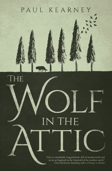 The Wolf in the Attic - Paul Kearney