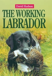 The Working Labrador