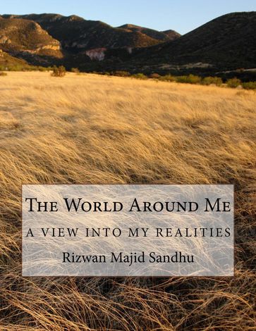 The World Around Me - Rizwan Sandhu