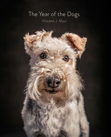 The Year of the Dogs - Vincent J. Musi