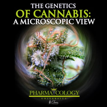 The genetics of cannabis: a microscopic view - Pharmacology University