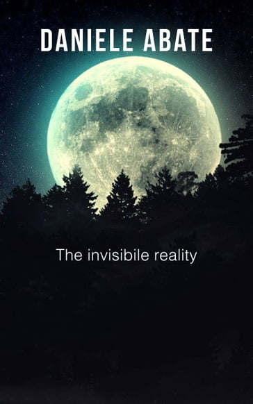 The invisibile reality - Daniele Abate