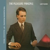 The pleasure principle (2 cd)