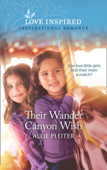 Their Wander Canyon Wish (Mills & Boon Love Inspired) (Wander Canyon, Book 1) - Allie Pleiter