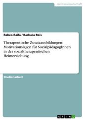 Therapeutische Zusatzausbildungen: Motivationslagen fur SozialpadagogInnen in der sozialtherapeutischen Heimerziehung