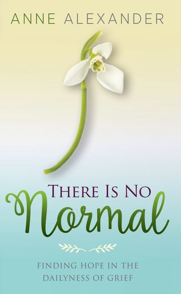 There Is No Normal: Finding Hope in the Dailyness of Grief - Anne Alexander