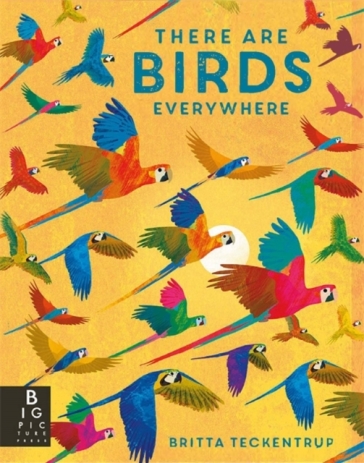There are Birds Everywhere - Camilla De La Bedoyere