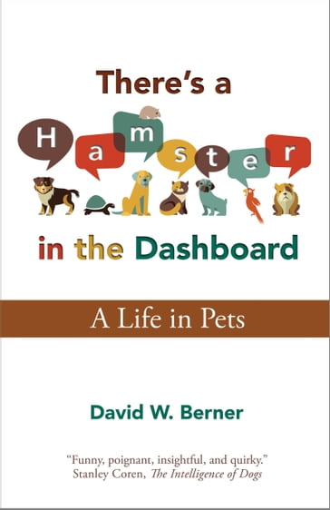 There's a Hamster in the Dashboard - David Berner