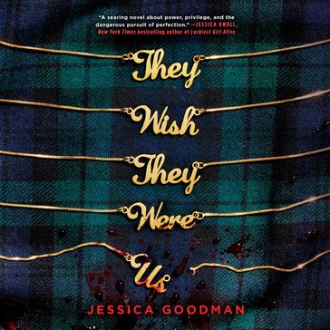 They Wish They Were Us - Jessica Goodman