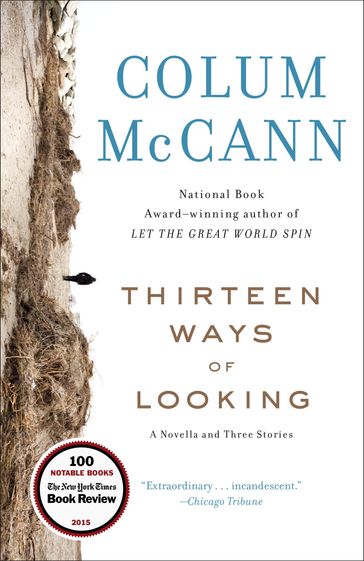 Thirteen Ways of Looking - Colum McCann