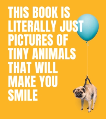 This Book Is Literally Just Pictures of Tiny Animals That Will Make You Smile - Smith Street Books