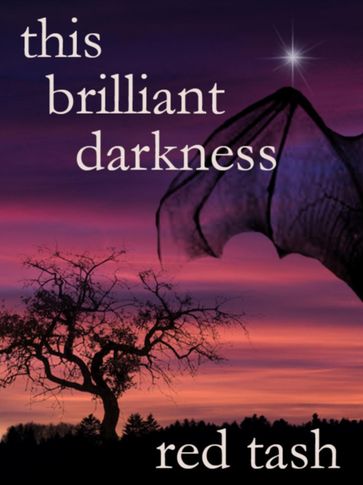 This Brilliant Darkness (A Dark Contemporary Fantasy) - Red Tash