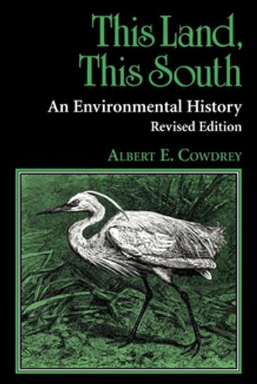 This Land, This South - Albert E. Cowdrey