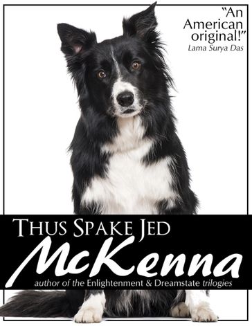Thus Spake Jed McKenna - Jed McKenna