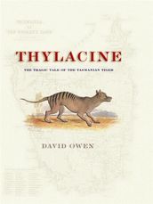 Thylacine