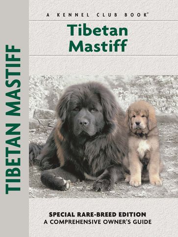 Tibetan Mastiff - Juliette Cunliffe