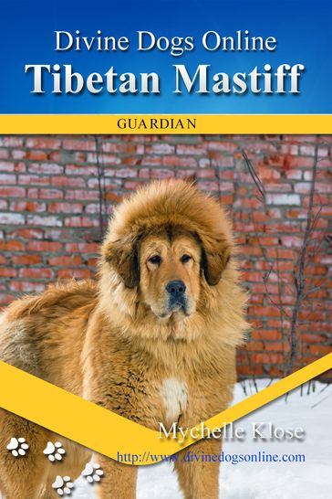 Tibetan Mastiff - Mychelle Klose