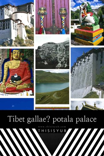 Tibetgallae - THISISYUB