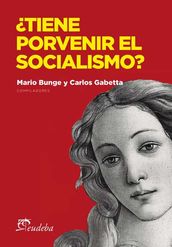 Tiene porvenir el socialismo?