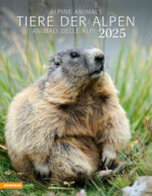 Tiere der Alpen. Kalender 2025