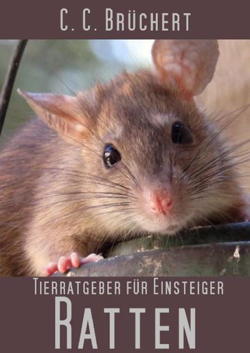 Tierratgeber für Einsteiger - Ratten - C. C. Bruchert