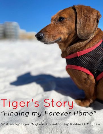 Tiger's Story "Finding my Forever Home" - Bobbie O. Mayhew - Tiger Mayhew