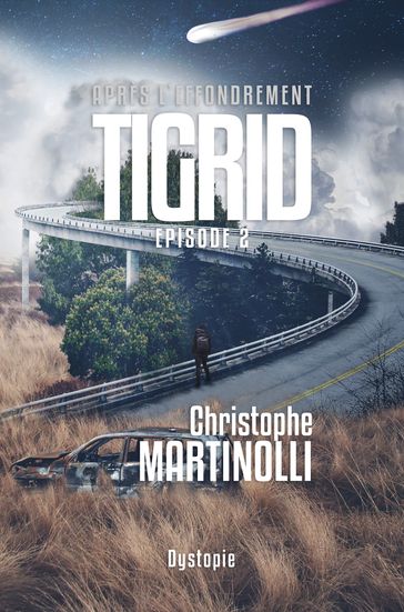 Tigrid 2 - Christophe Martinolli