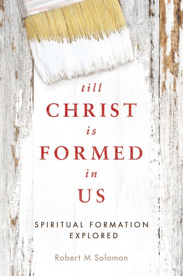 Till Christ Is Formed in Us - Robert M Solomon