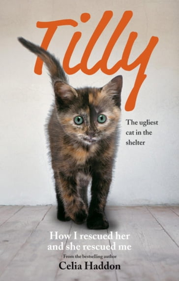 Tilly: The Ugliest Cat - Celia Haddon