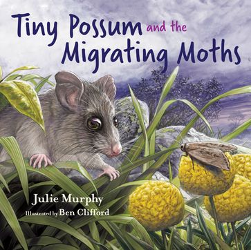Tiny Possum and the Migrating Moths - Julie Murphy