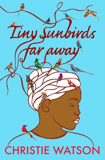 Tiny Sunbirds Far Away - Christie Watson