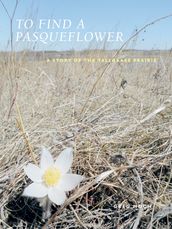 To Find a Pasqueflower
