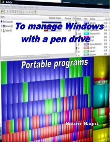 To Manage Windows With a USB Pen Drive - Mauro Magni