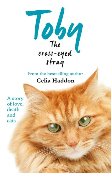 Toby The Cross-Eyed Stray - Celia Haddon